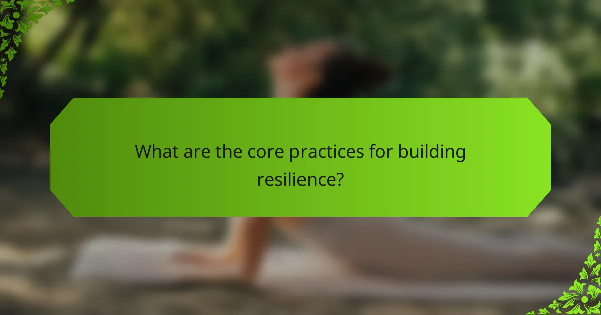 What are the core practices for building resilience?