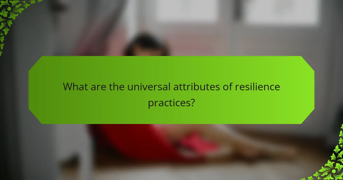 What are the universal attributes of resilience practices?